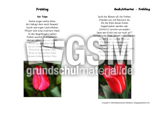 Die-Tulpe-Platen.pdf